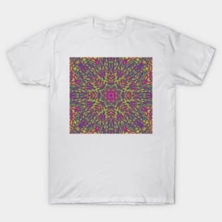 Mandalas 15 T-Shirt